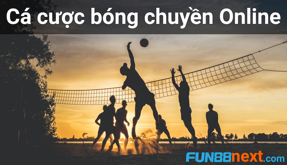 Cá cược bóng chuyền online là gì?