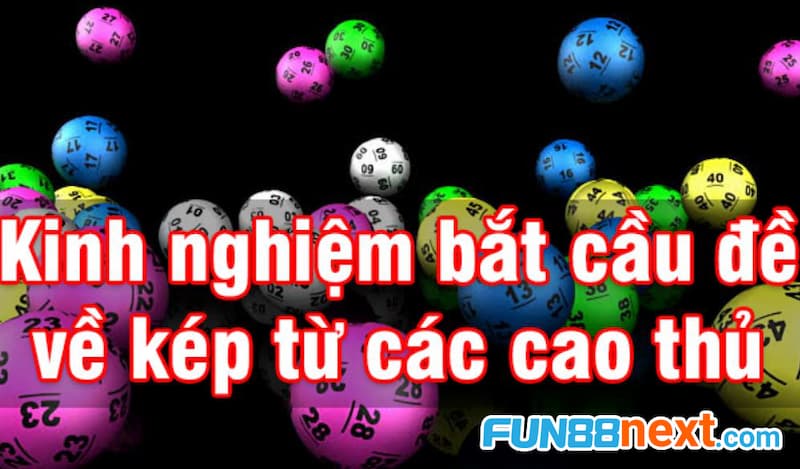 Cách nuôi lô kép 2 ngày chuẩn xác