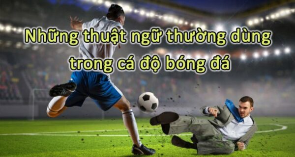 Khái quát về thuật ngữ cá độ bóng đá